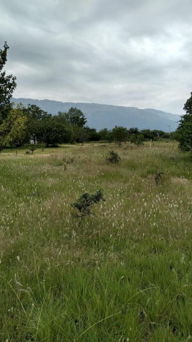 Carpinteria, San Luis. A 300 metros de ruta 1 · Junín — foto 6