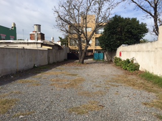 Floresta 100 · Moreno — foto 17