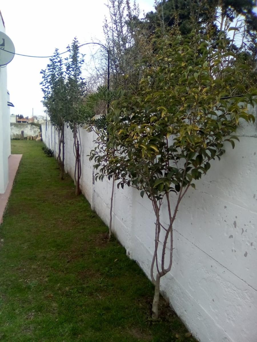 Ramón Carrillo 330 · Brandsen — foto 7