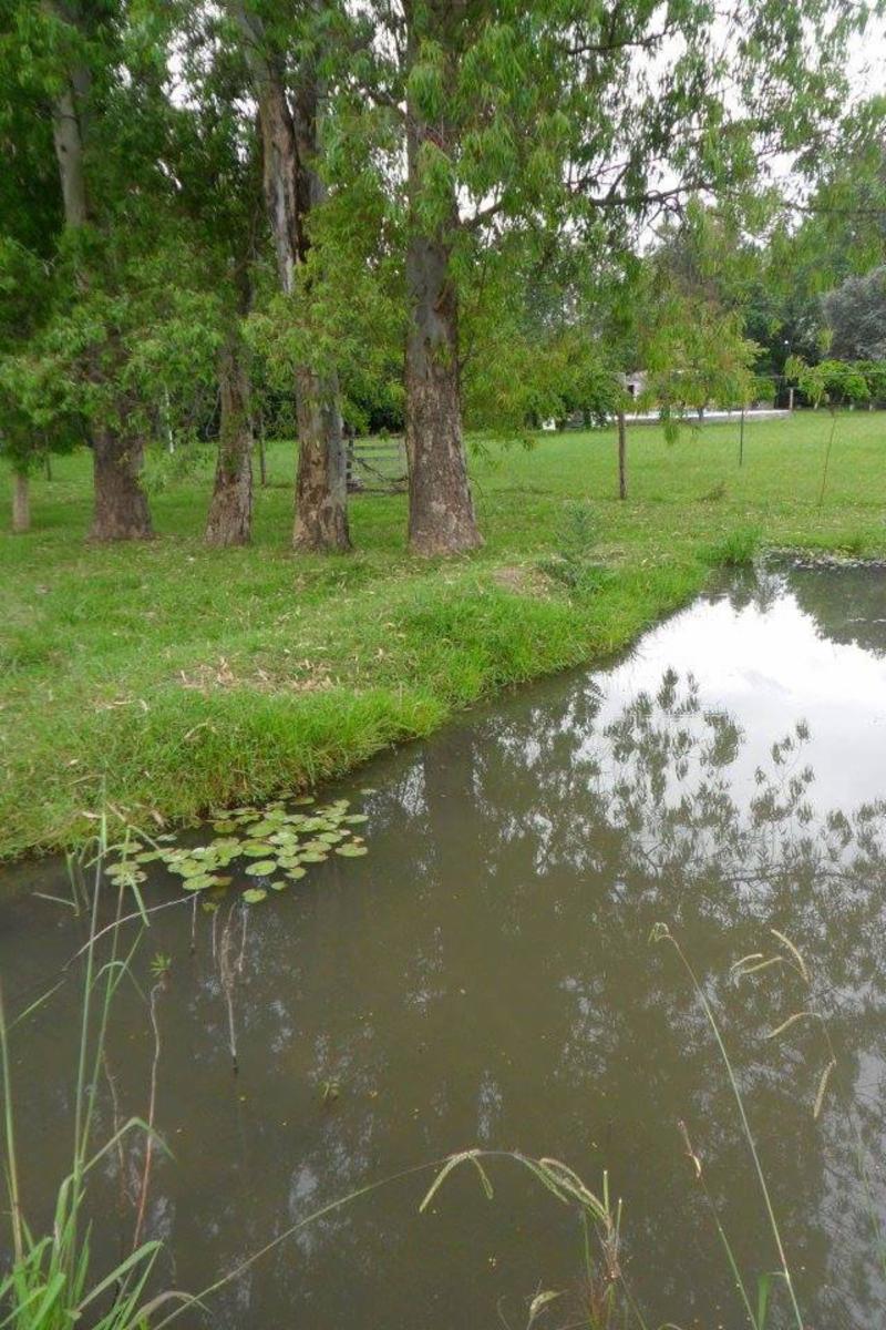 CALLE 1652 · Florencio Varela — foto 11
