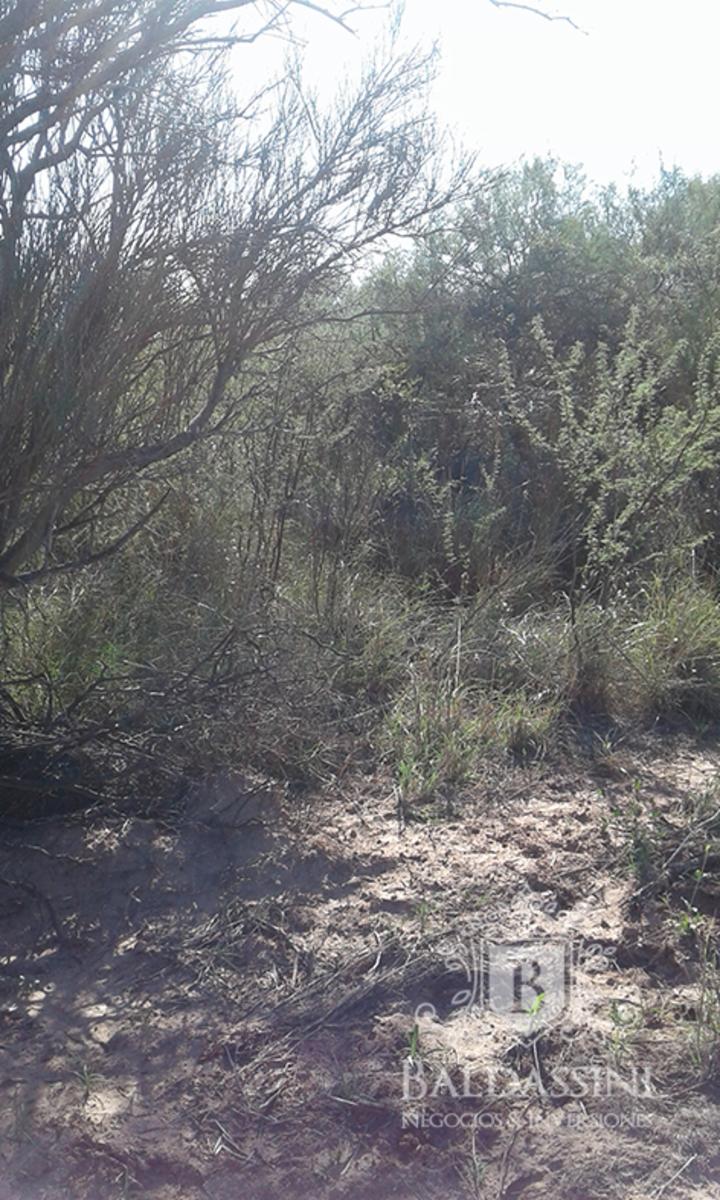 RUTA 33 Y RUTA 79 - CHEPES · Rosario Vera Peñaloza — foto 3