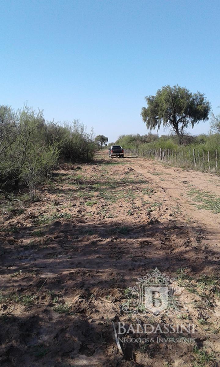 RUTA 33 Y RUTA 79 - CHEPES · Rosario Vera Peñaloza — foto 4