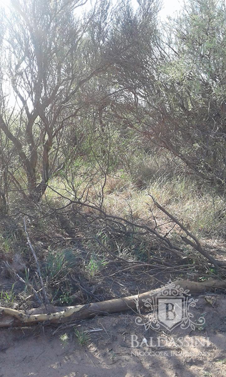 RUTA 33 Y RUTA 79 - CHEPES · Rosario Vera Peñaloza — foto 5