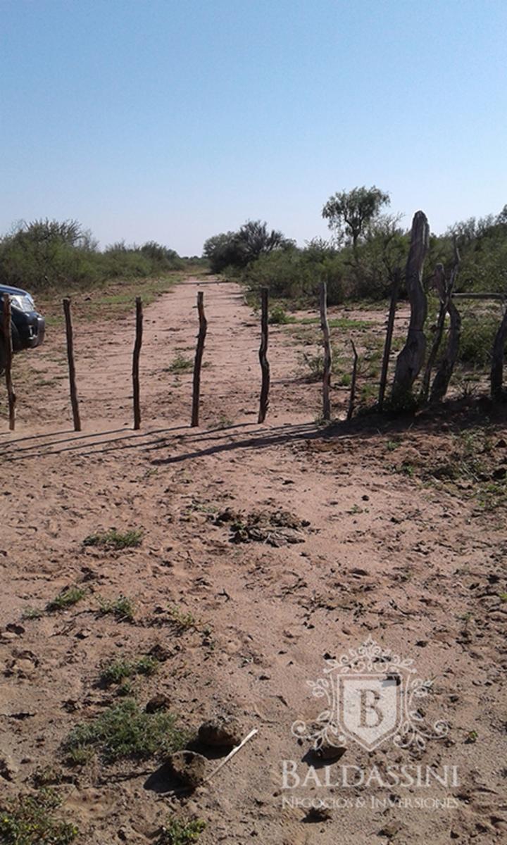 RUTA 33 Y RUTA 79 - CHEPES · Rosario Vera Peñaloza — foto 6