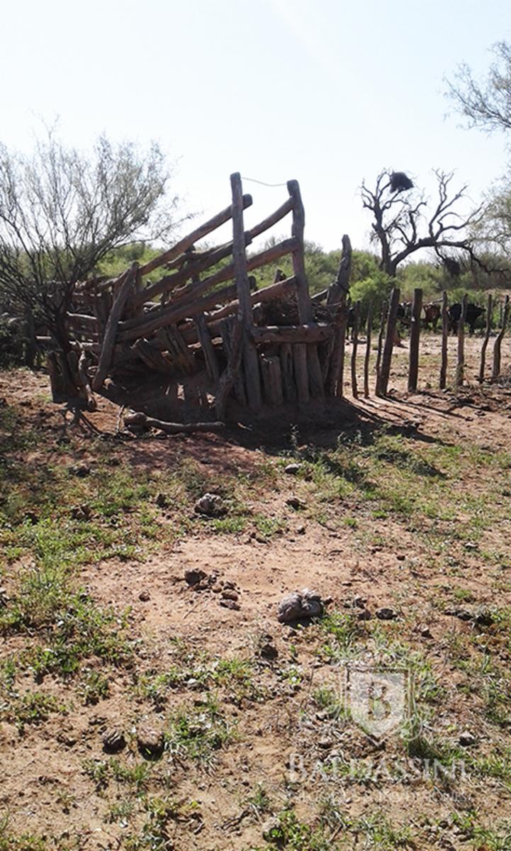 RUTA 33 Y RUTA 79 - CHEPES · Rosario Vera Peñaloza — foto 8