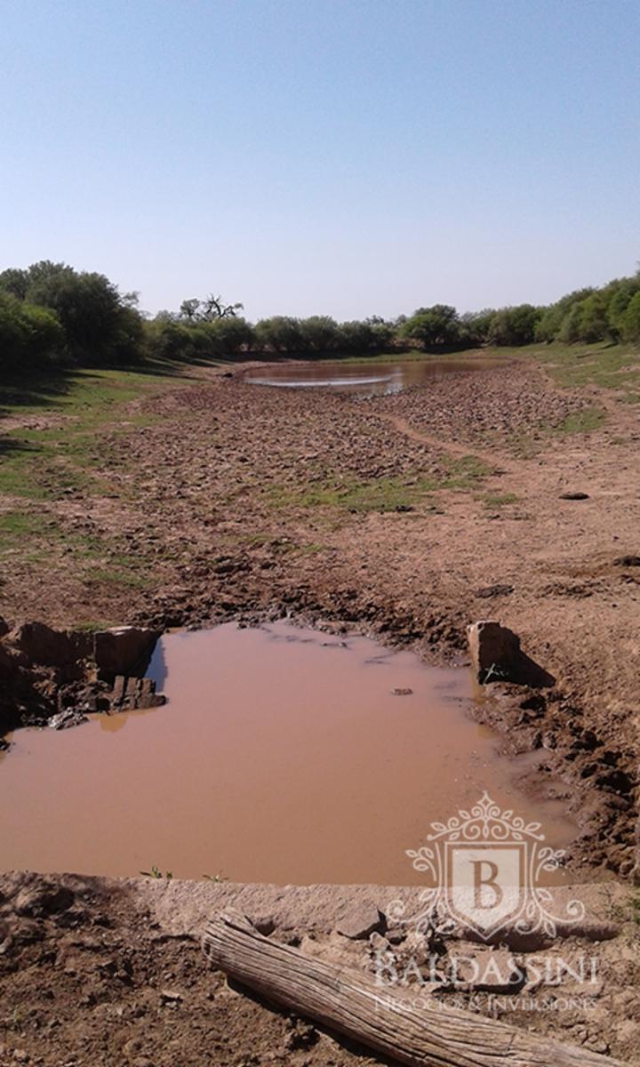 RUTA 33 Y RUTA 79 - CHEPES · Rosario Vera Peñaloza — foto 9