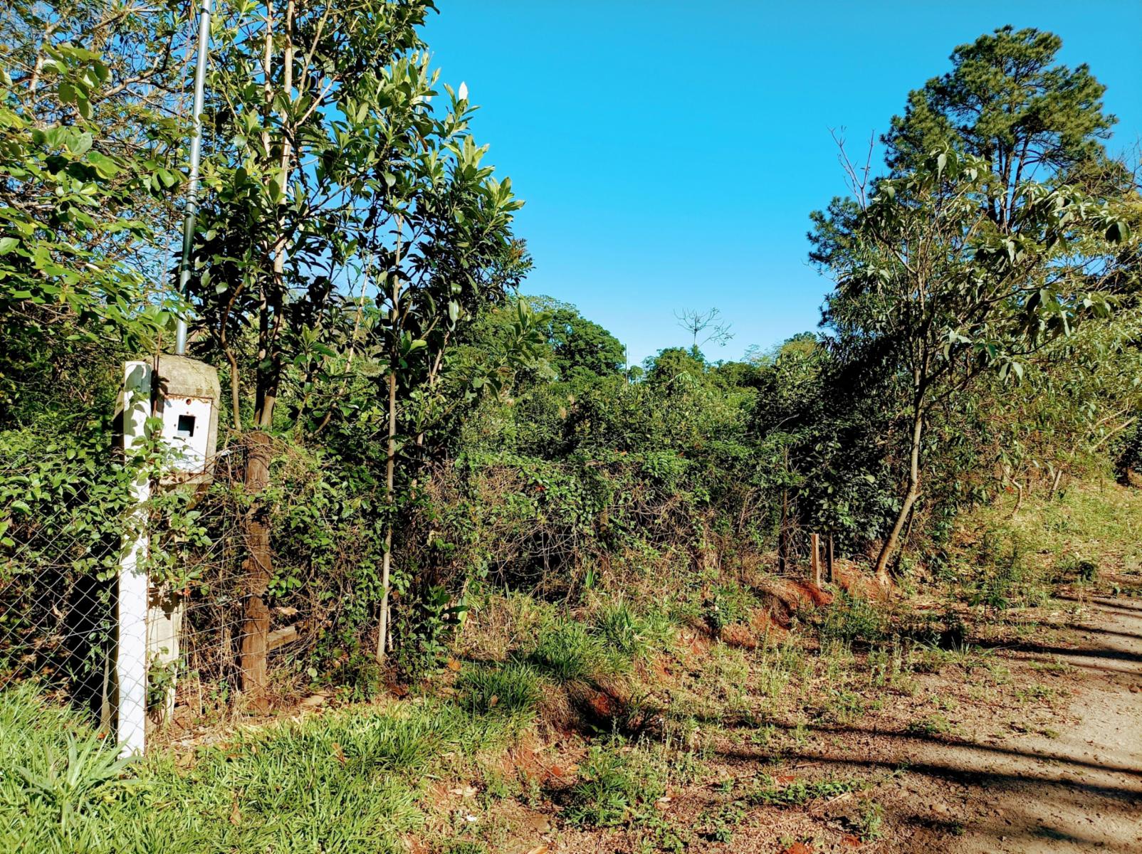 Ruta Nacional 14 Km 932 · Cainguás — foto 11