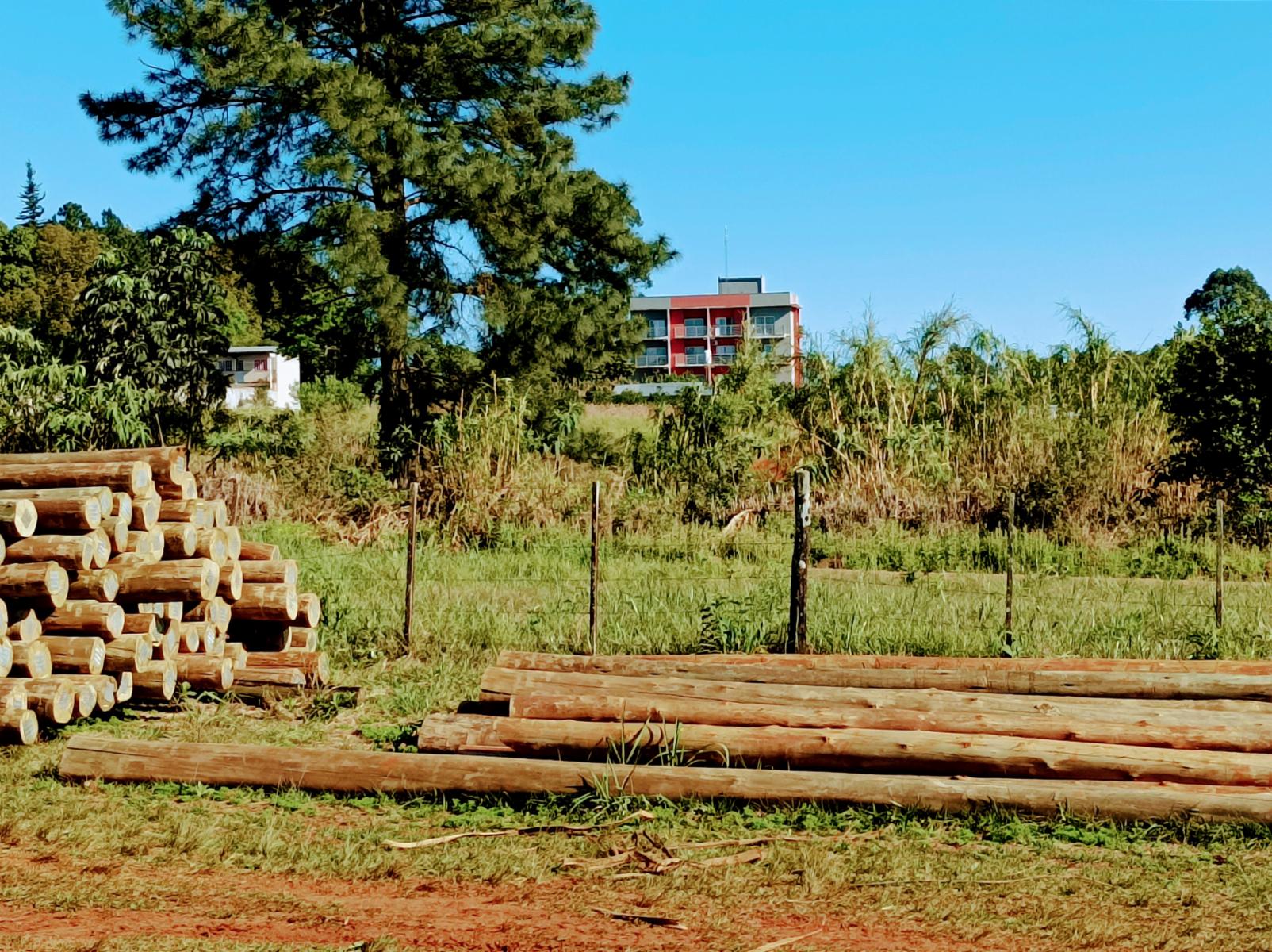 Ruta Nacional 14 Km 932 · Cainguás — foto 4