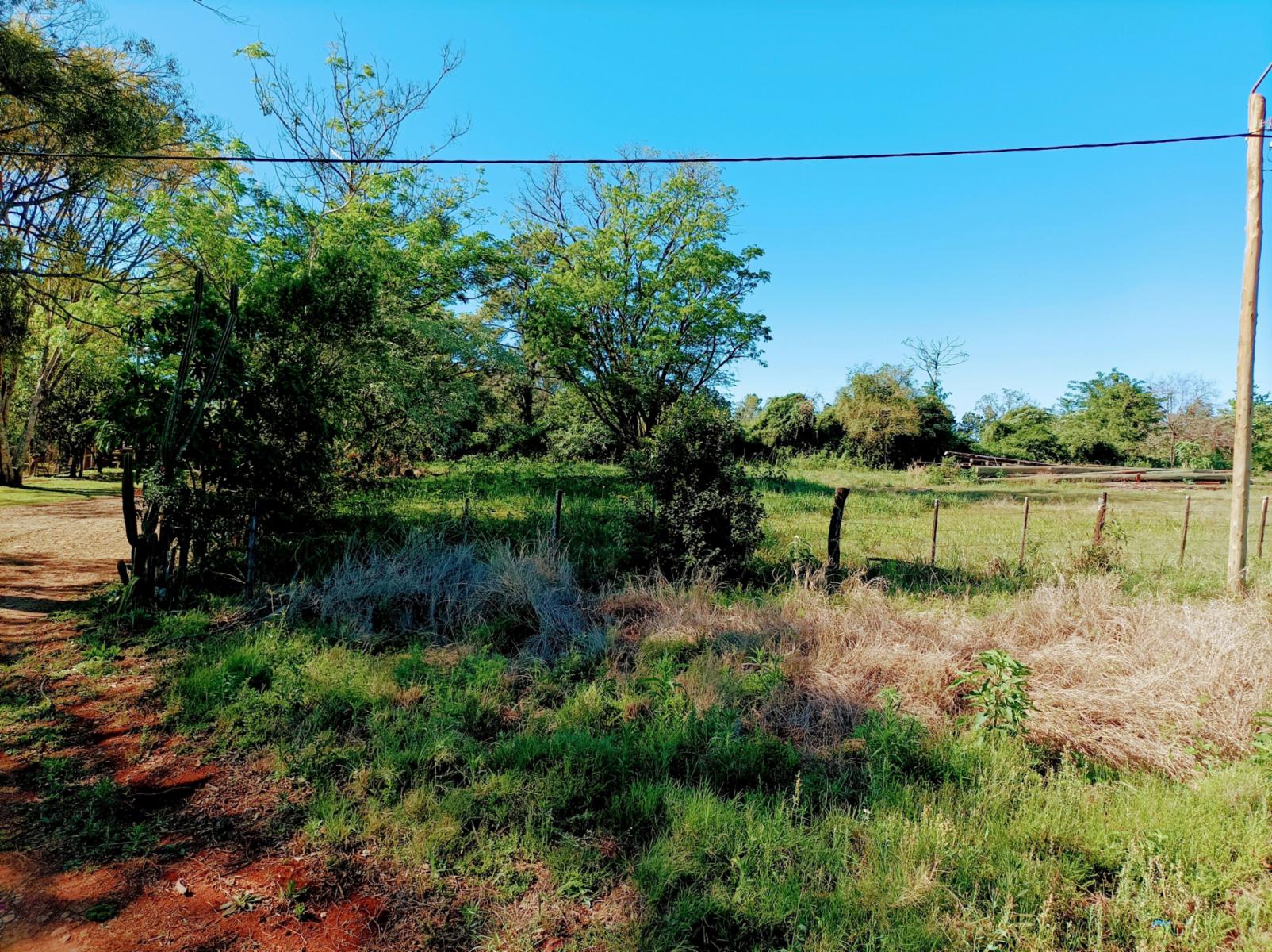 Ruta Nacional 14 Km 932 · Cainguás — foto 6