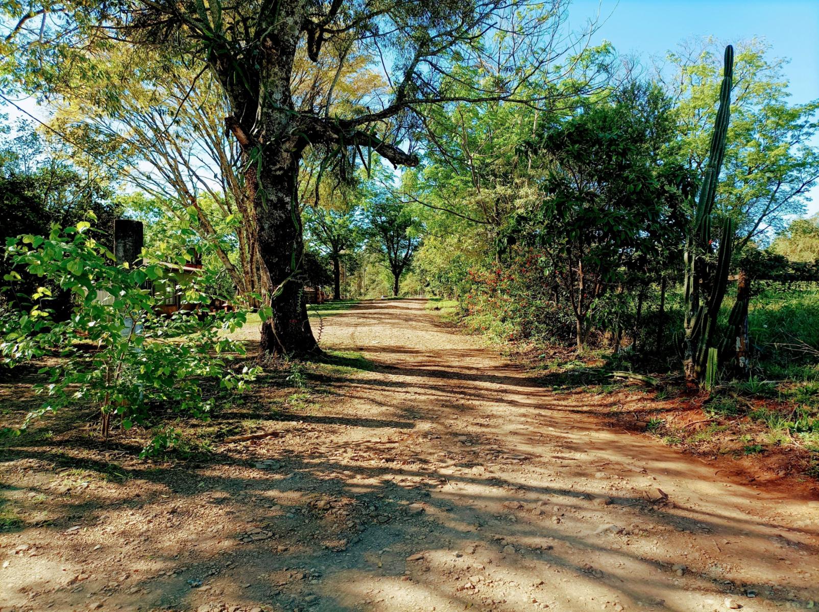 Ruta Nacional 14 Km 932 · Cainguás — foto 9