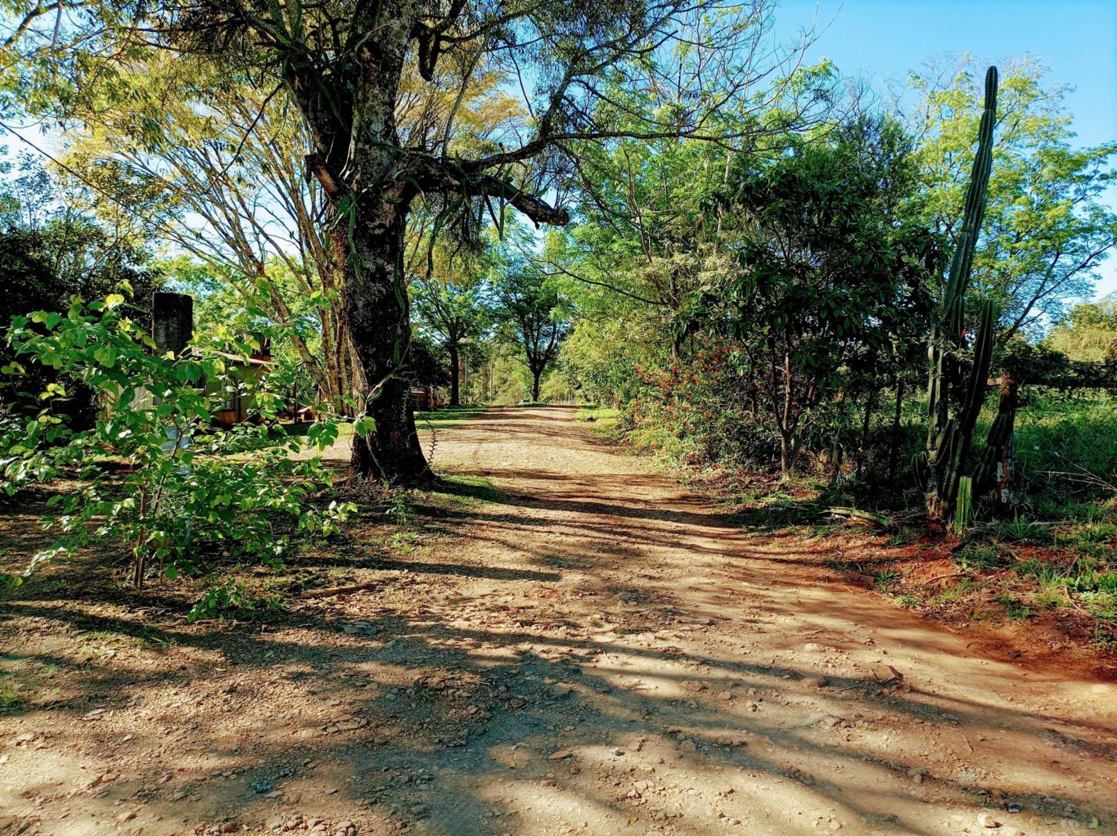 Ruta Nacional 14 Km 932 · Cainguás — foto 10
