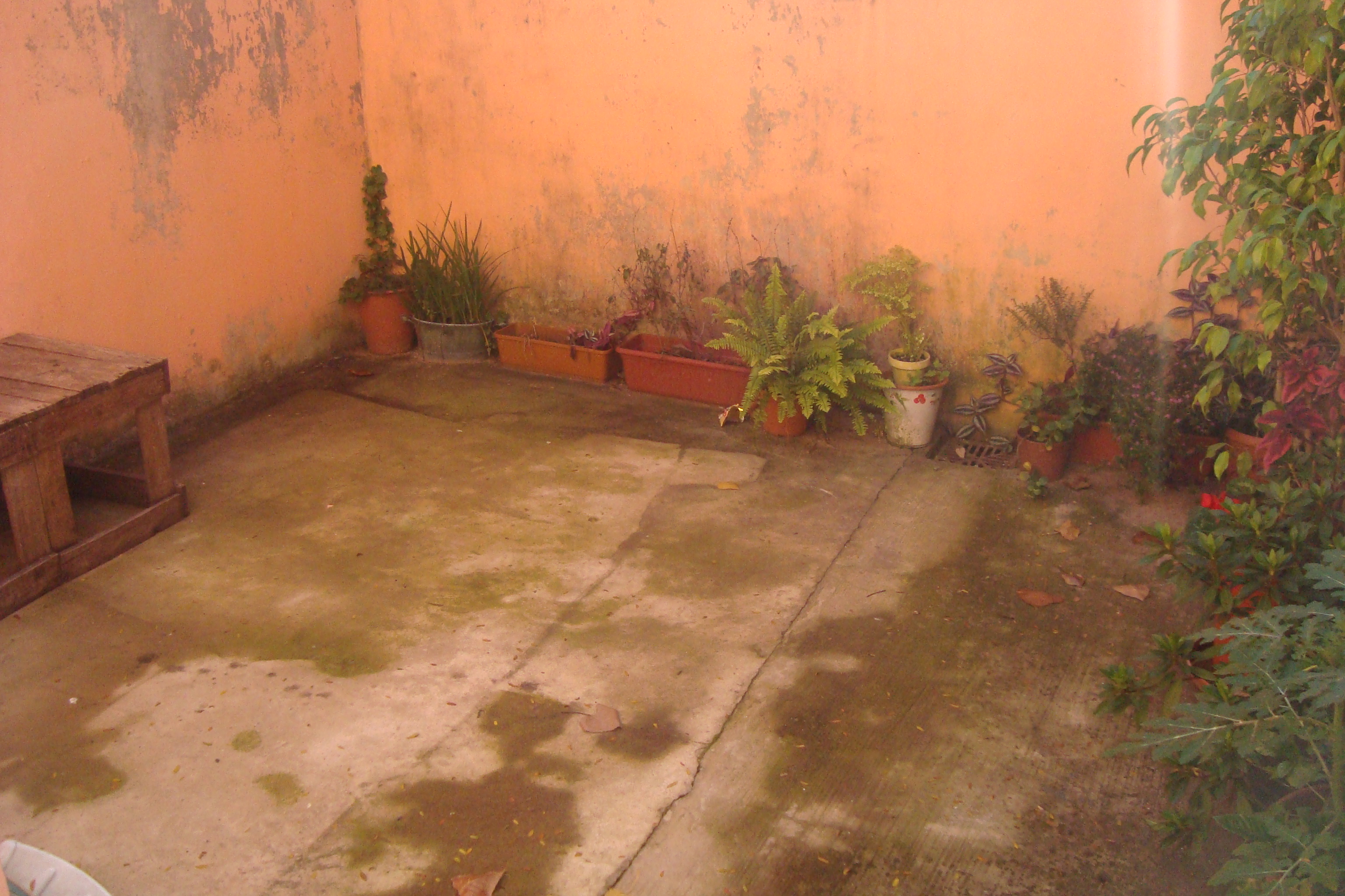Robinson 1324 · Almirante Brown — foto 15