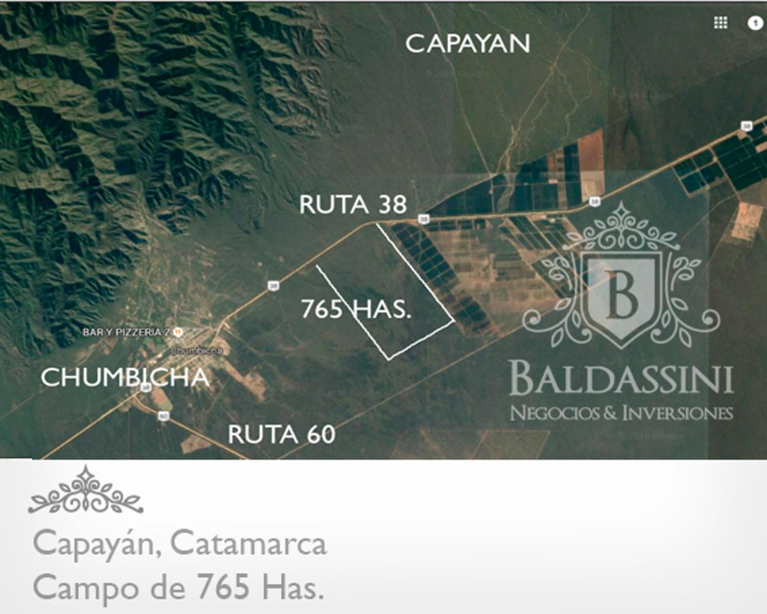CAMPO ALAMBRADO DE 765 HAS EN CAPAYÁN - CATAMARCA - IDEAL PROYECTO ENERGÍA SOLAR O EÓLICA - ZONA DE VIÑEDOS Y OLIVARES - ESCRITURA - POSIBILIDAD DE ALQUILER. CABLES DE TENSIÓN SOBRE LA RUTA.