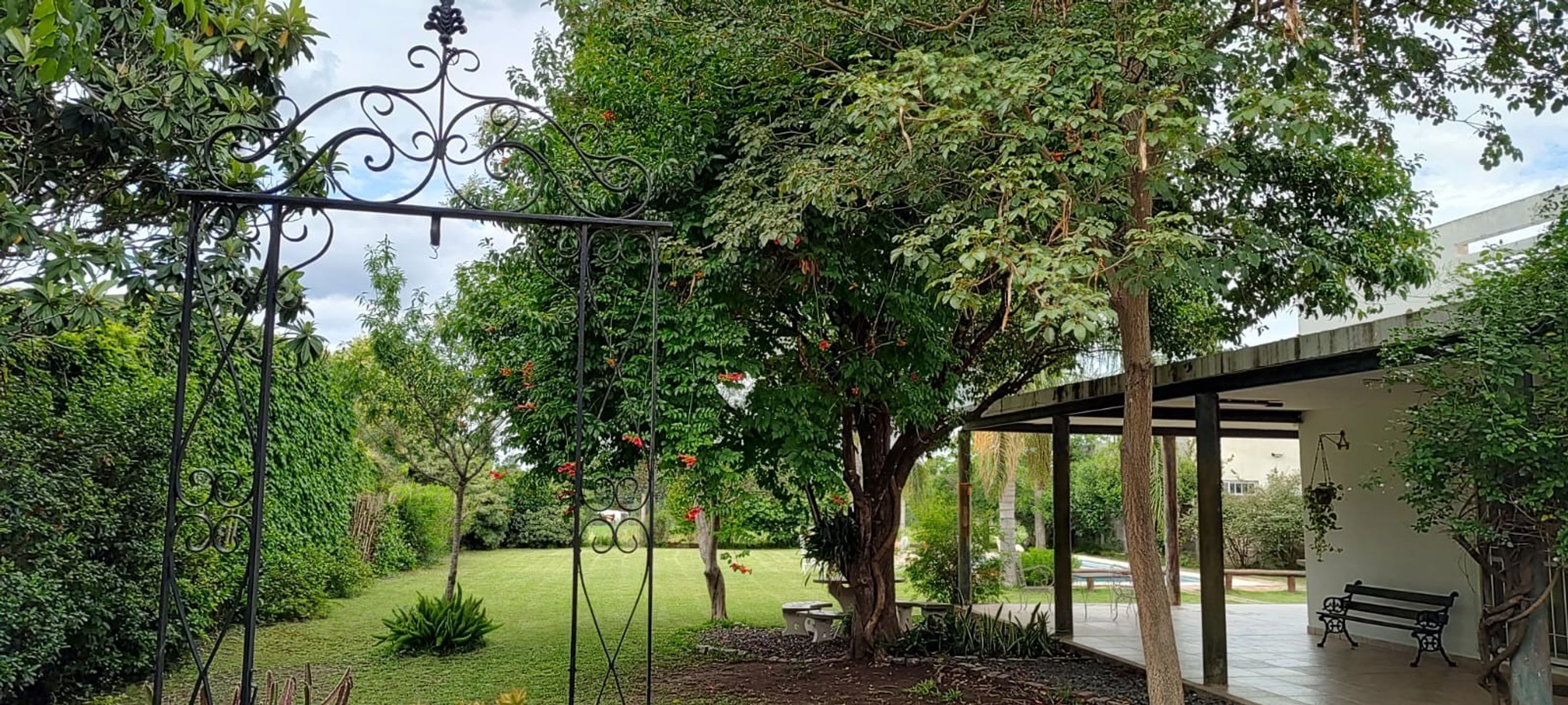 Clemente · Paraná — foto 3