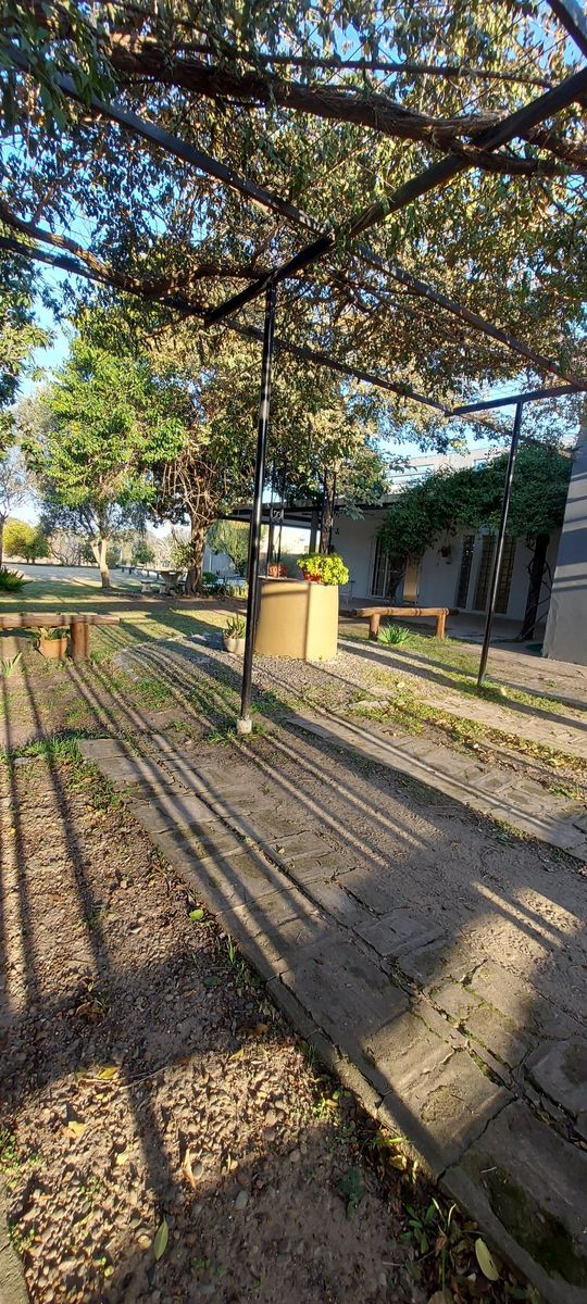 Clemente · Paraná — foto 21