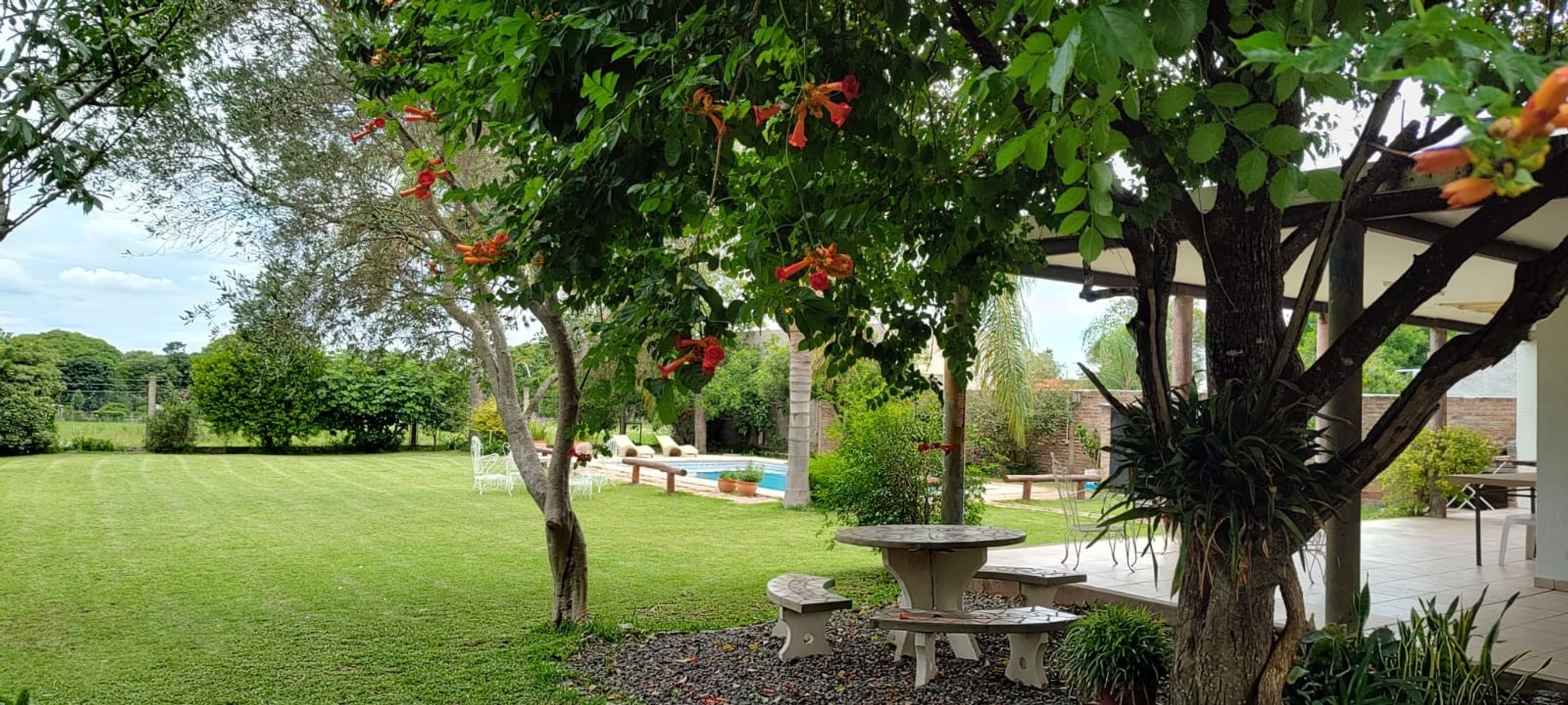 Clemente · Paraná — foto 4