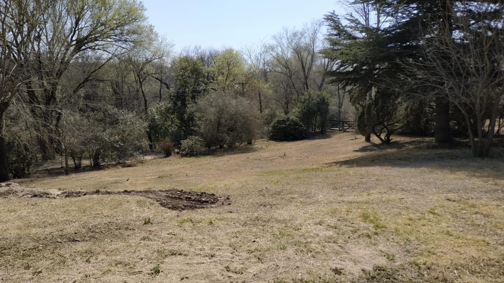Lago Argentino · Punilla — foto 7