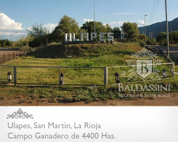 CAMPO GANADERO DE 4400 HECTÁREAS EN ULAPES, DEPARTAMENTO DE SAN MARTÍN, LA RIOJA - CAMPO ARMADO CON POZO DE AGUA DULCE / GALPÓN / CASA