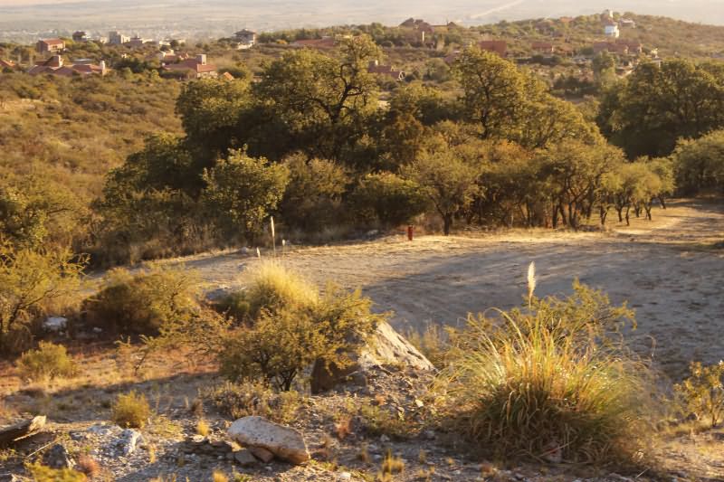 Los nogales · Junín — foto 4