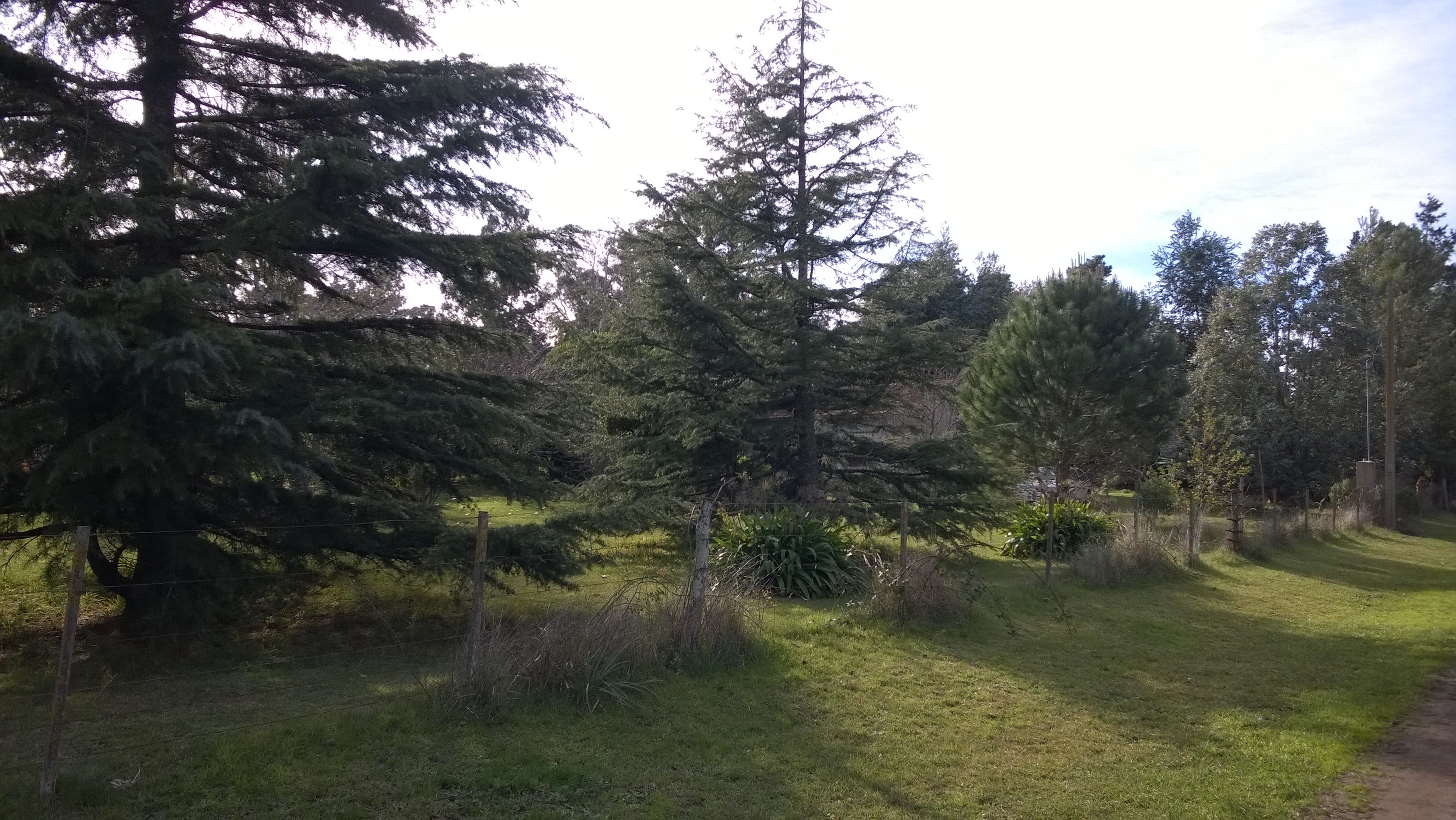 LAGUNA BRAVA · Balcarce — foto 14