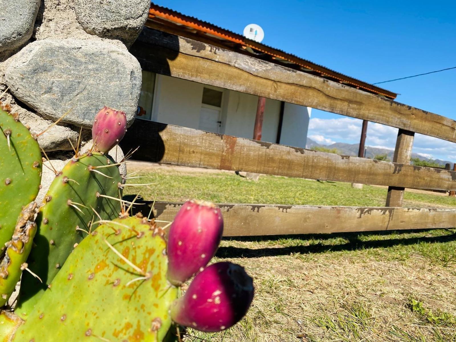 S.F.Monte de Oro. · Ayacucho — foto 20