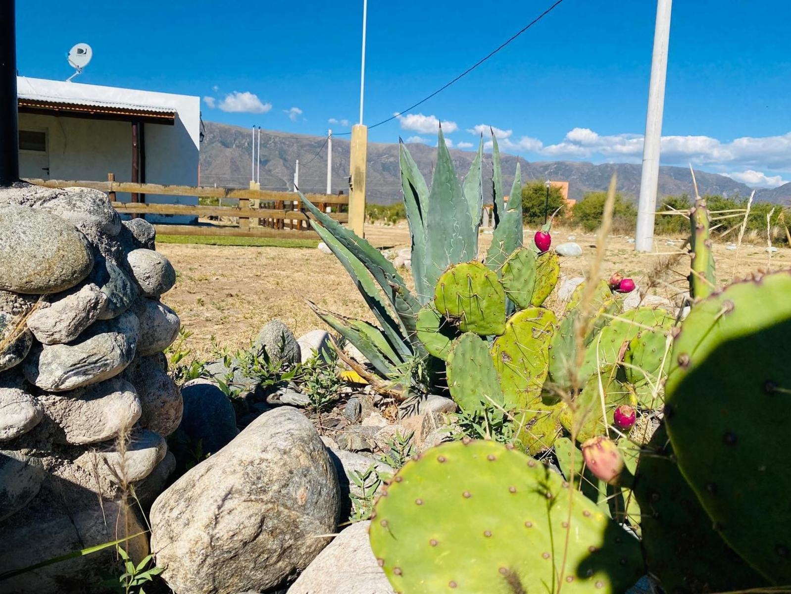 S.F.Monte de Oro. · Ayacucho — foto 21