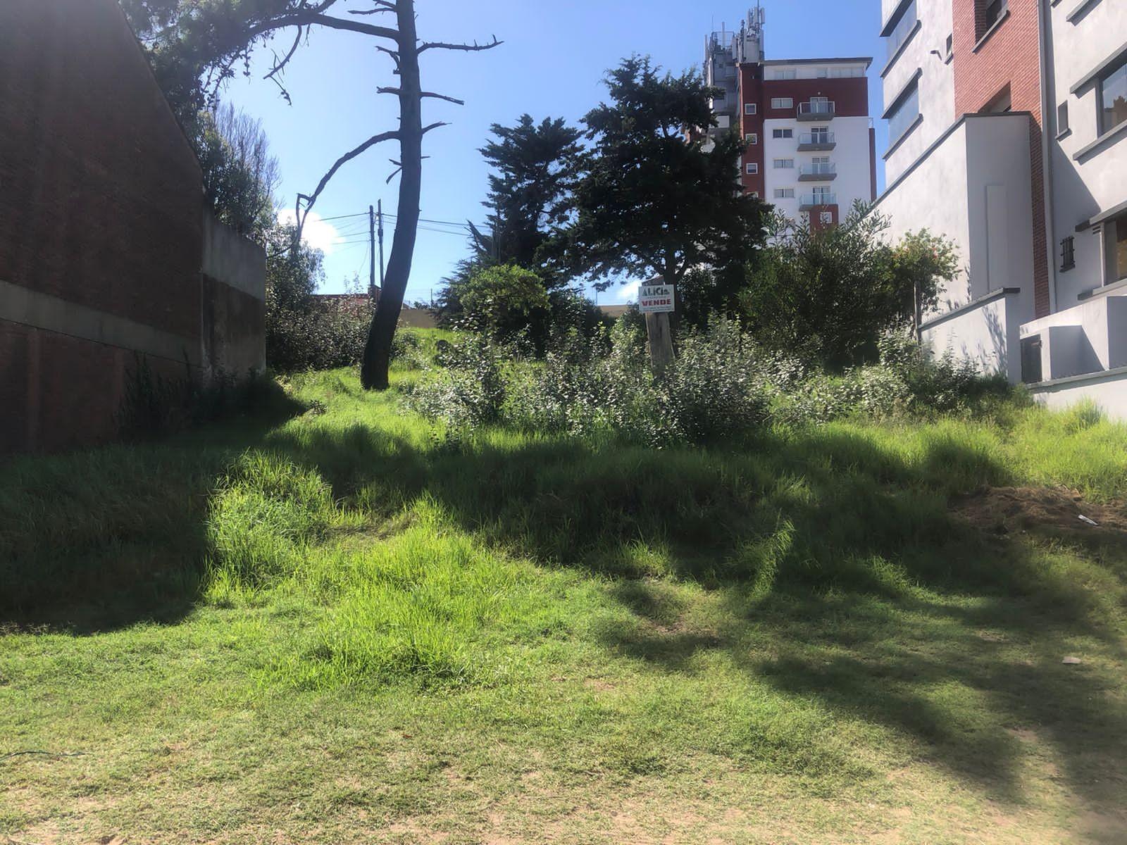 PASEO 124 Y 123 BIS · Villa Gesell — foto 3