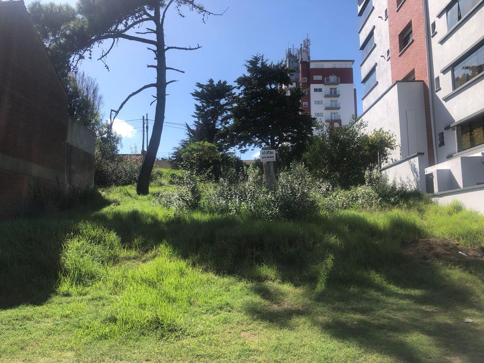 PASEO 124 Y 123 BIS · Villa Gesell — foto 6