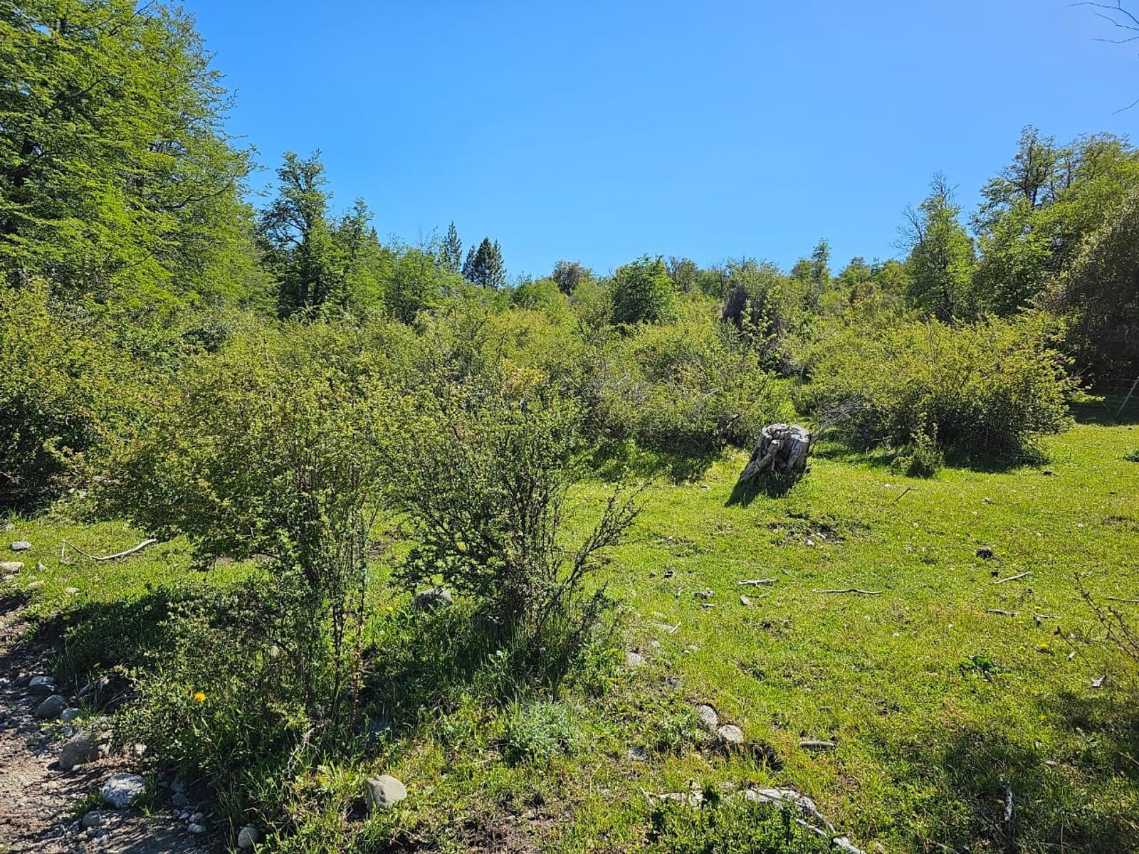 HERMOSO TERRENO EN SECCIÓN LAZO LEZANA, CHOLILA, CHUBUT