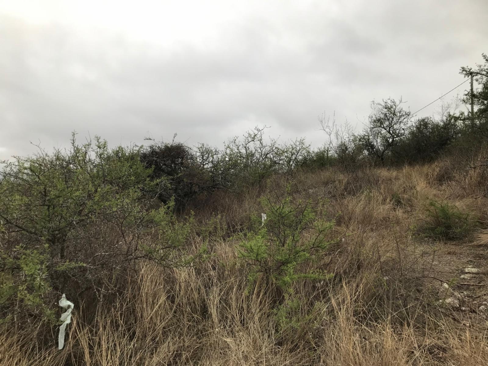 ESTANCIA VIEJ A · Punilla — foto 10