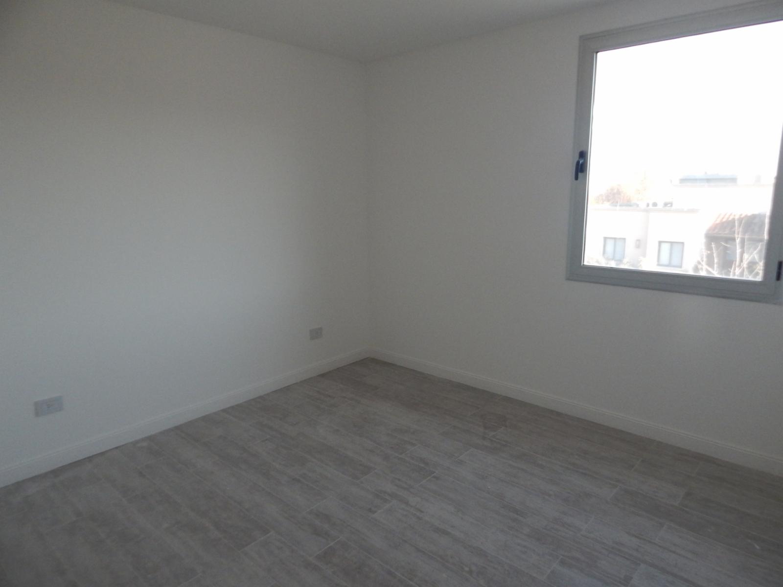 ITALIA 5043 · Tigre — foto 11