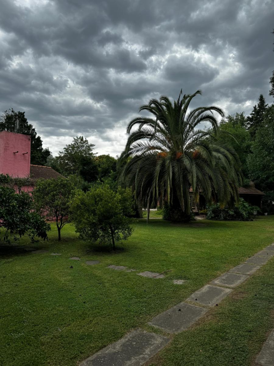Av. monsegur · Moreno — foto 13