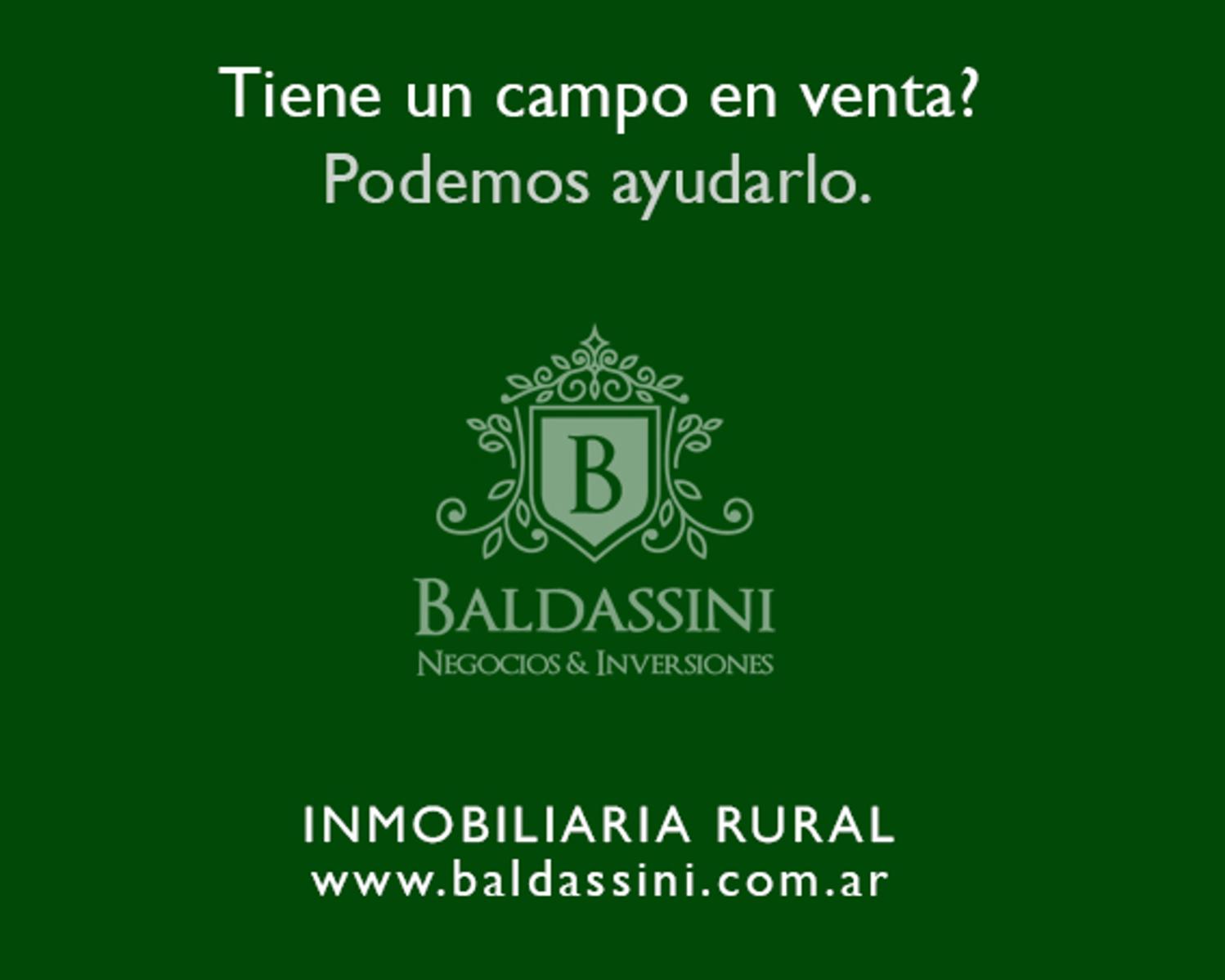 CAMPO DE 202 HAS EN OLTA - LA RIOJA · General Belgrano — foto 4