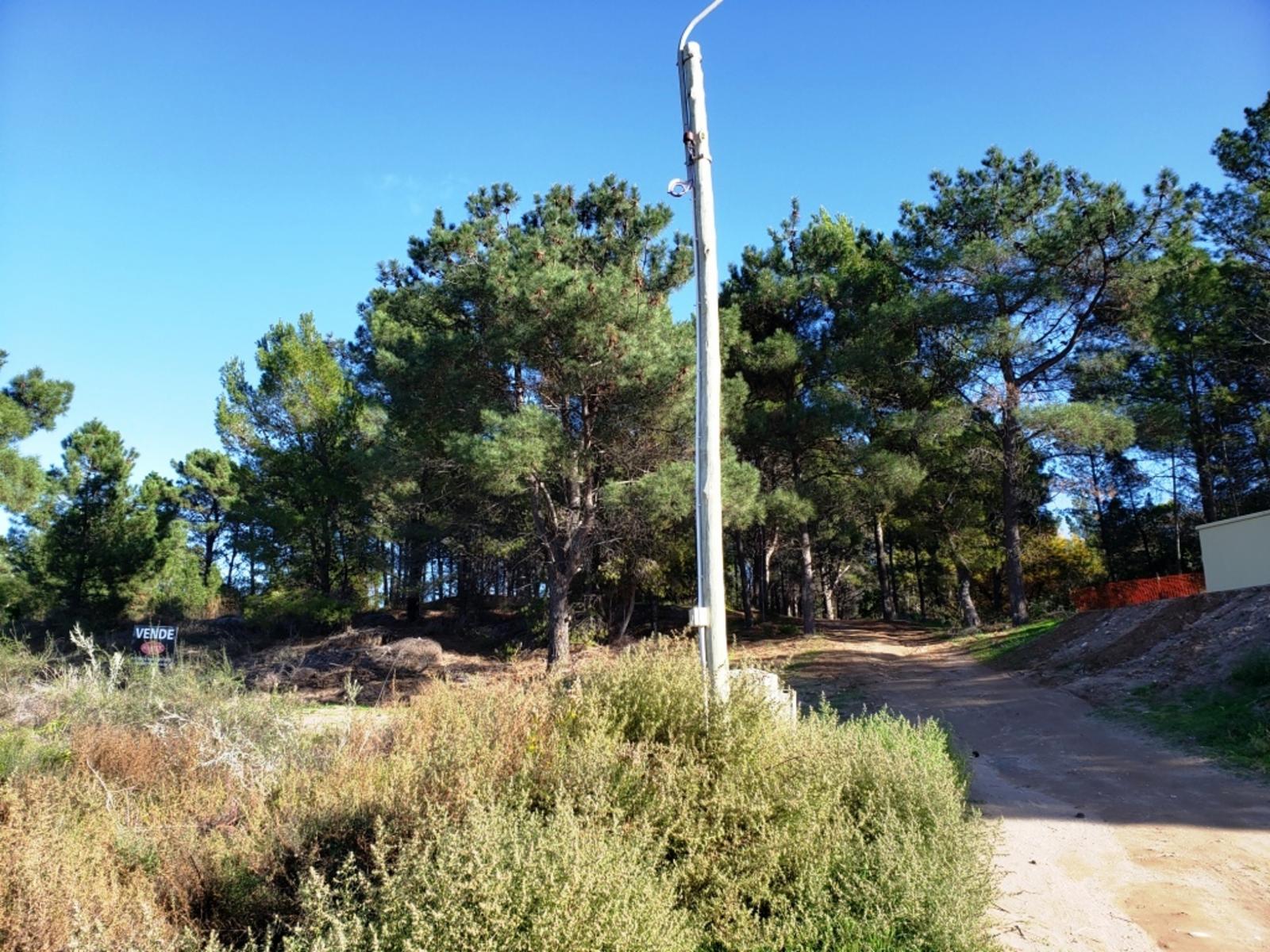 Las Martinetas · Monte Hermoso — foto 5