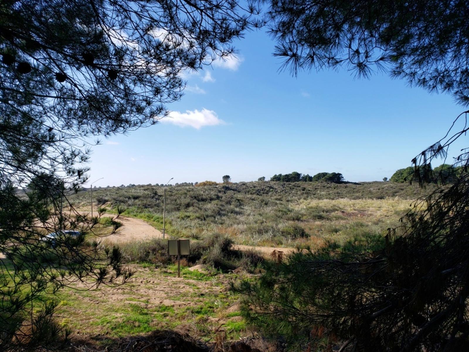 Las Martinetas · Monte Hermoso — foto 7