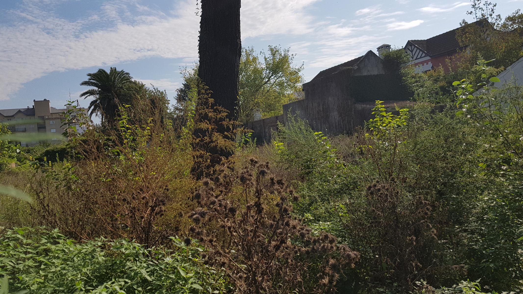 Nother al 900 · Almirante Brown — foto 3