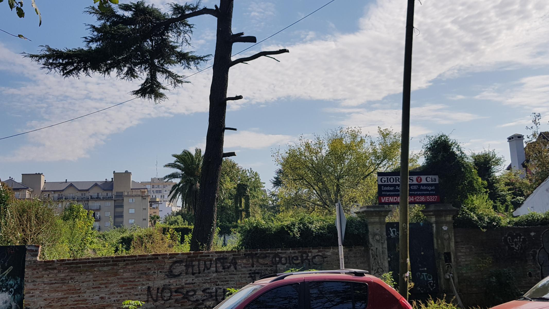 Nother al 900 · Almirante Brown — foto 4