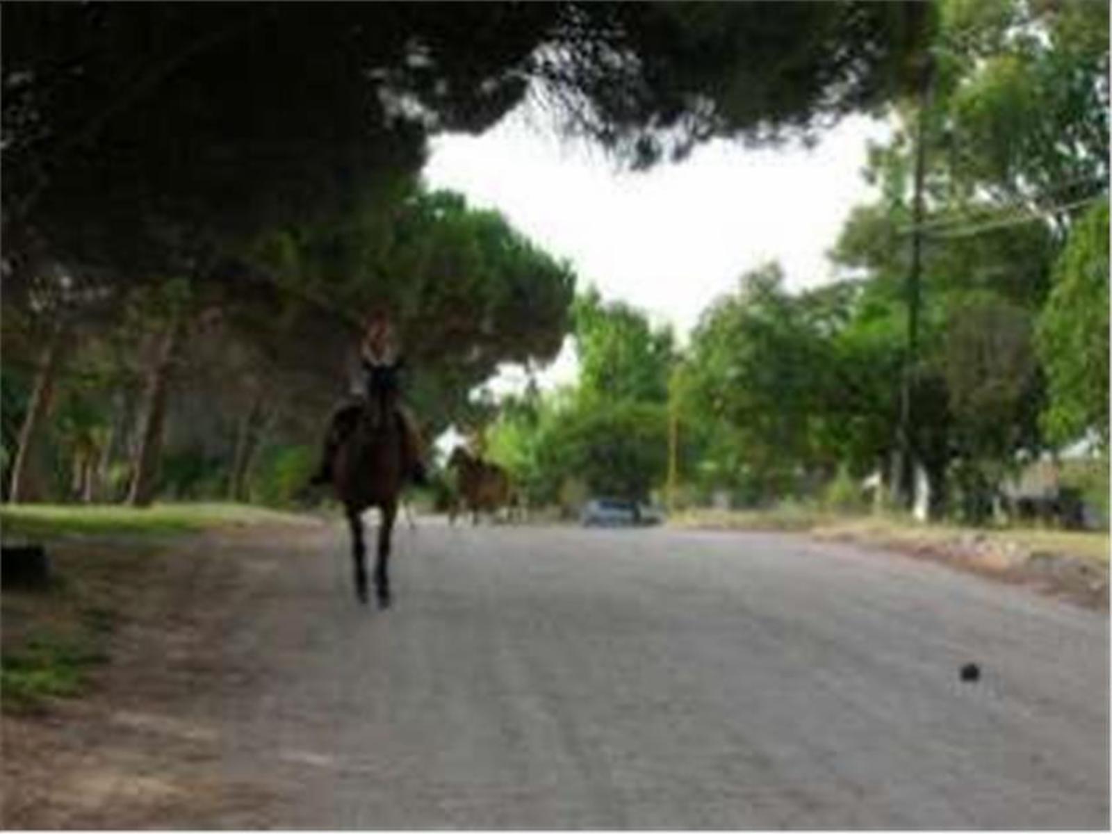 calle 13 y 24 · Tres Arroyos — foto 4