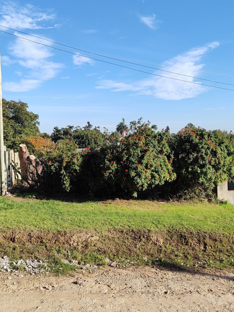 VENDO TERRENO EN NECOCHEA