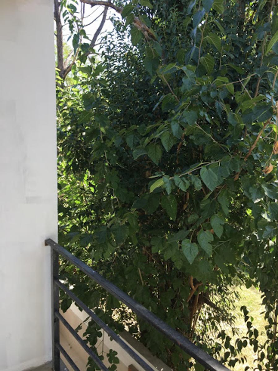 LA TAPERA 1000 · Pilar — foto 7