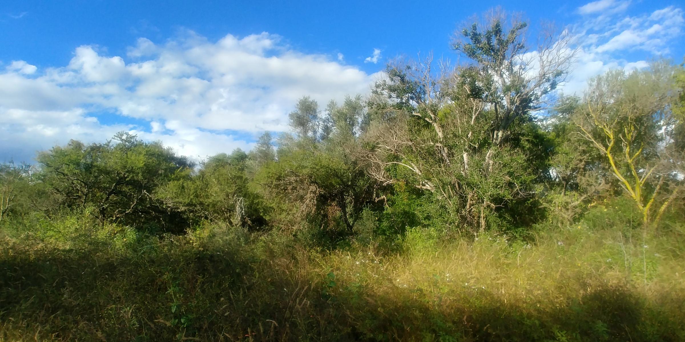 Mondrian · Junín — foto 5