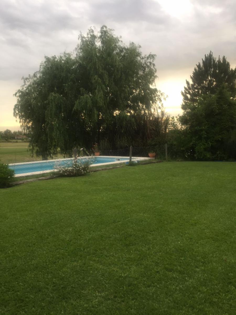 Av Italia · Tigre — foto 5