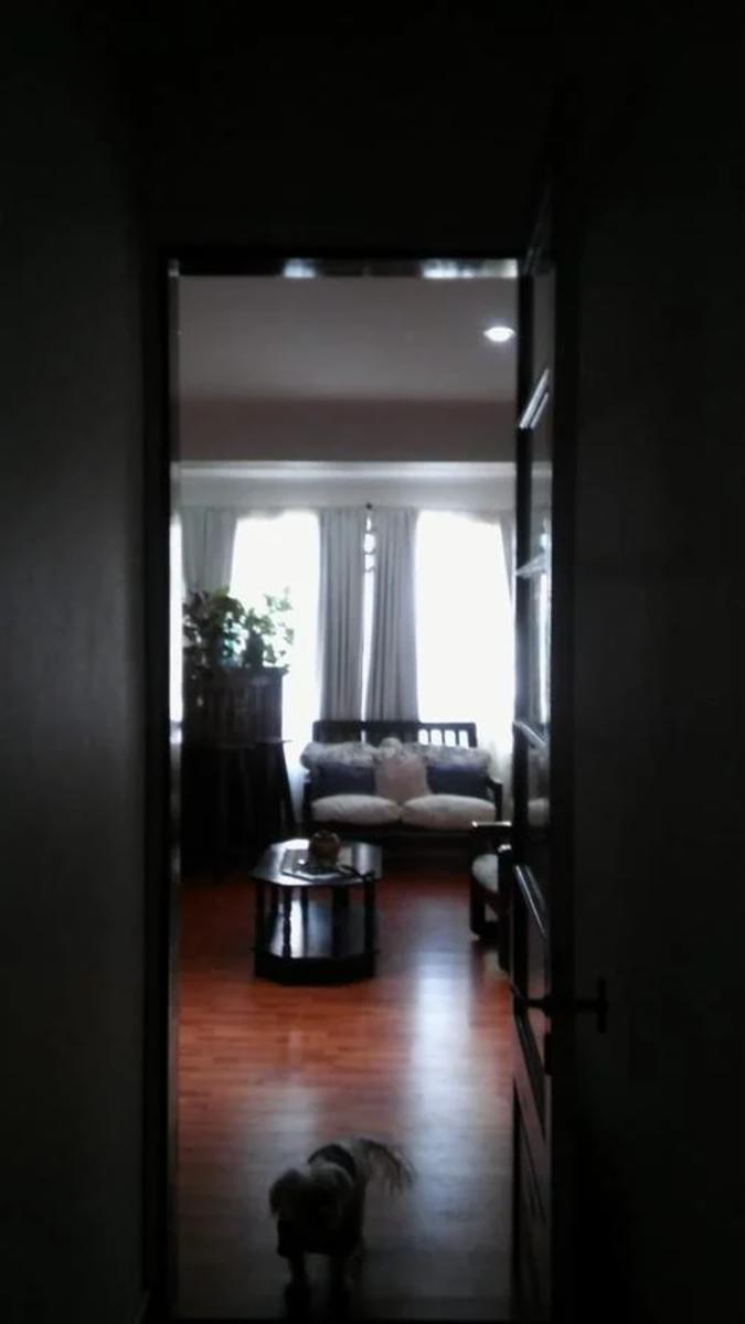 Pasteur 1352 · San Fernando — foto 10