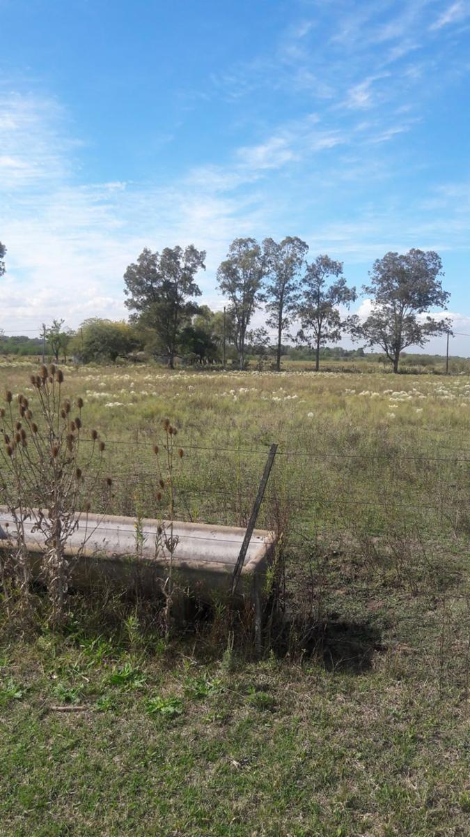 SAN LUIS GONZAGA · General Rodriguez — foto 11