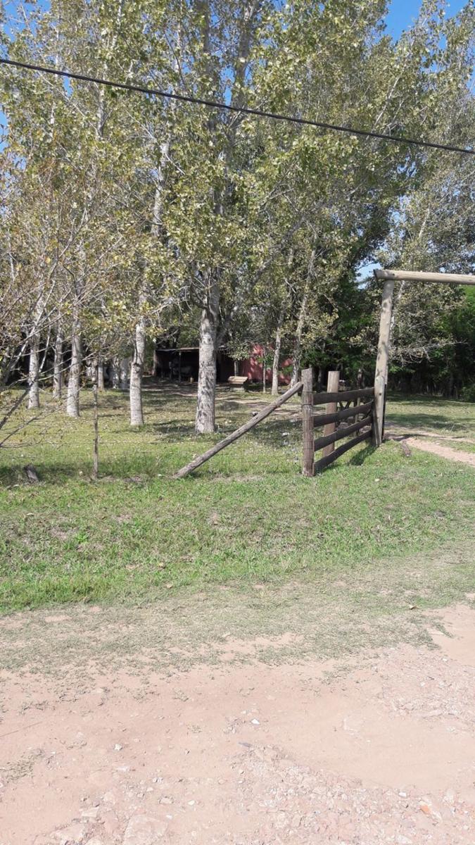 SAN LUIS GONZAGA · General Rodriguez — foto 23