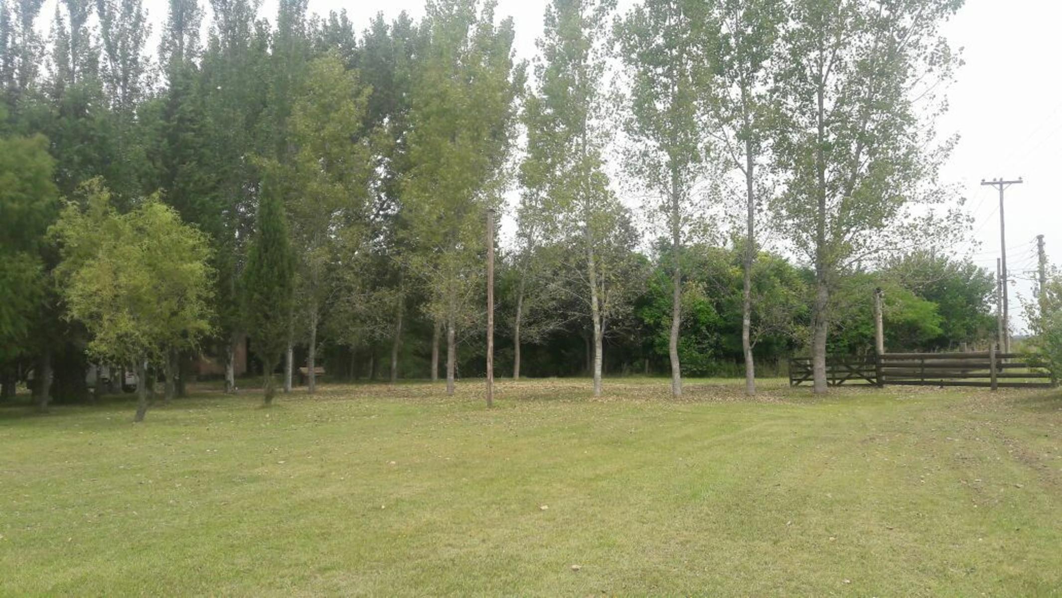 SAN LUIS GONZAGA · General Rodriguez — foto 7