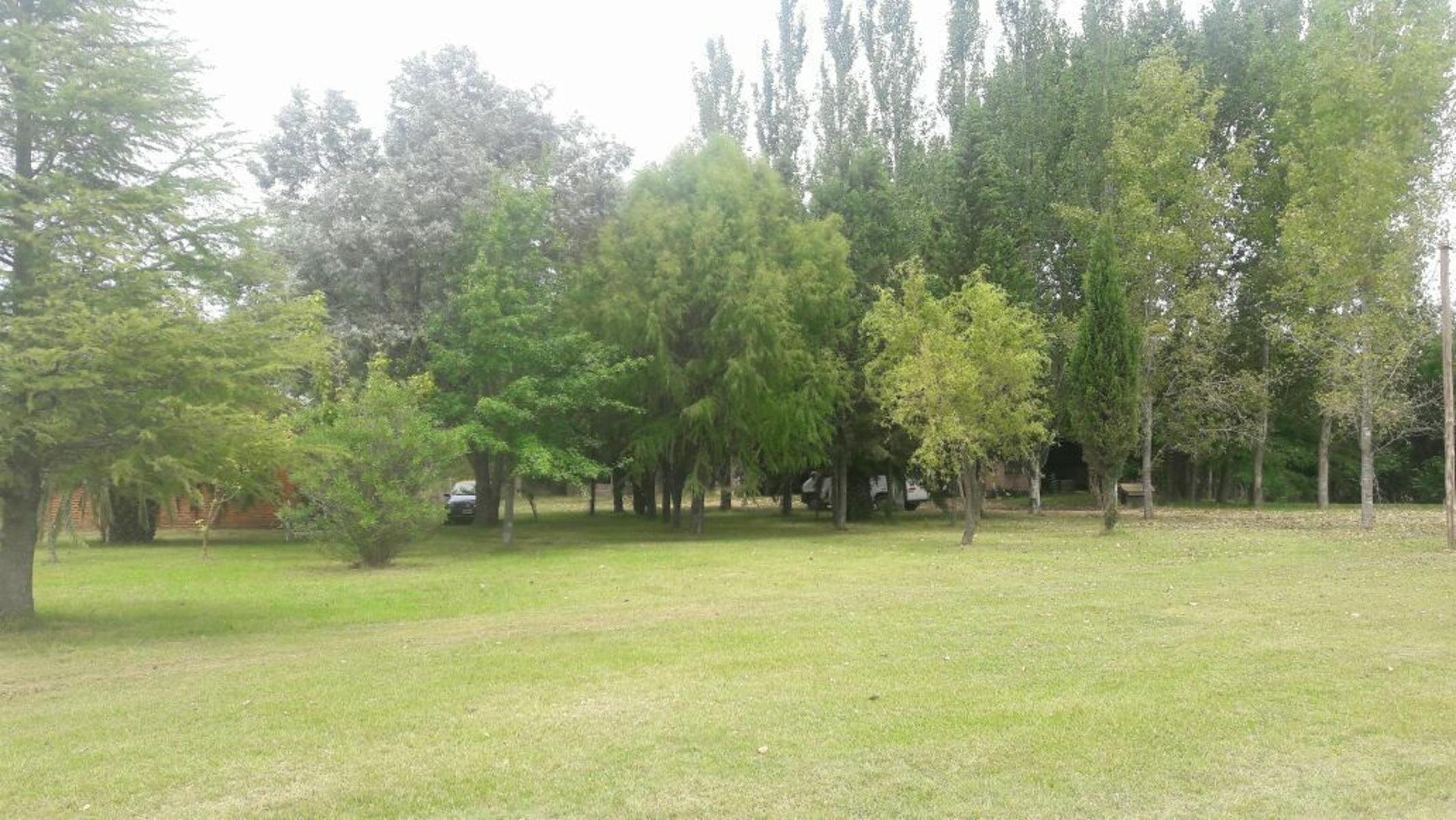 SAN LUIS GONZAGA · General Rodriguez — foto 10