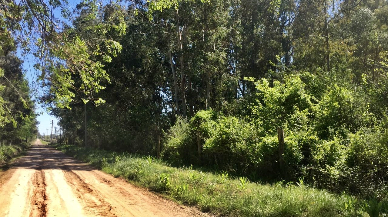 KM 80, A metros de la ruta 8 · Exaltacion De La Cruz — foto 5