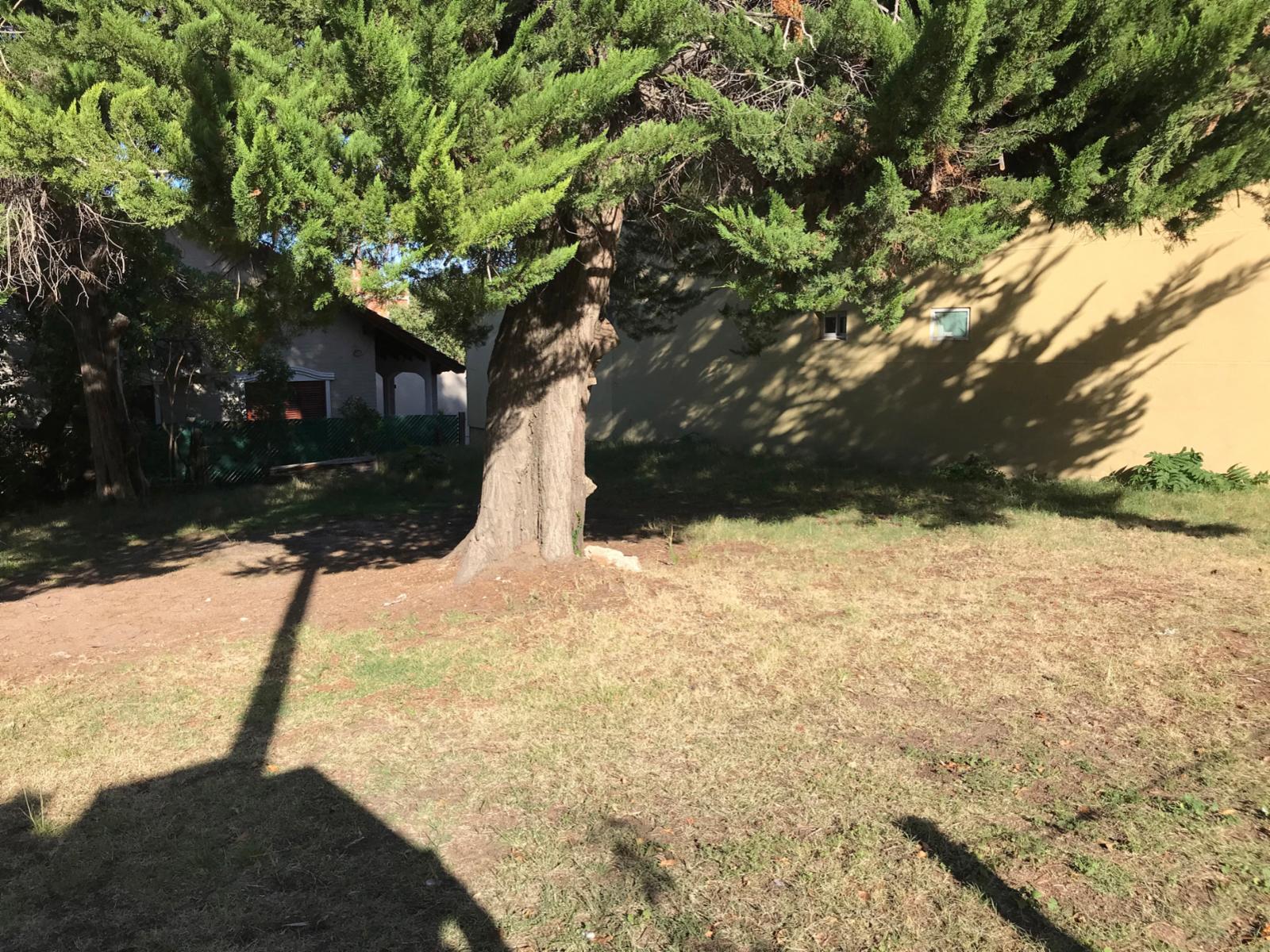Dufaur al 400 · Monte Hermoso — foto 22