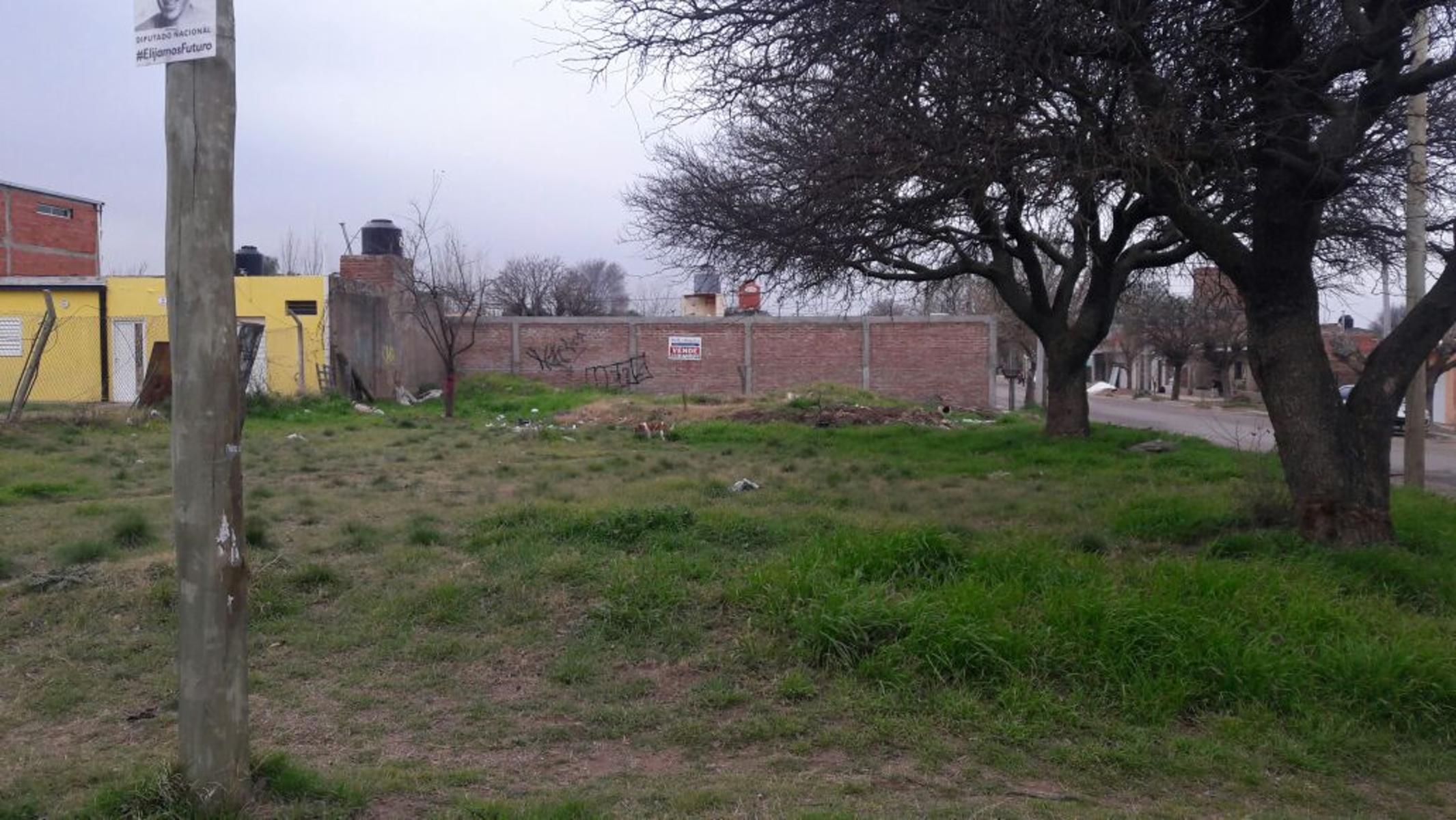 TERRENO EN VILLA TOMAS MASSON NORTE